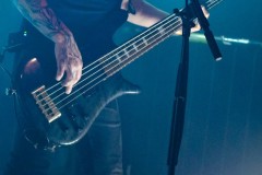 The-Hirsch-Effekt-06_Watermarked