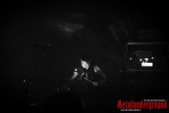 The-Hirsch-Effekt-14_Watermarked