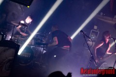 The-Hirsch-Effekt-16_Watermarked