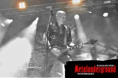 Accept-Area53-Festival-2022