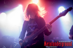 Vermocracy_watermarked-10
