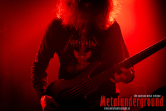 Vermocracy_watermarked-14