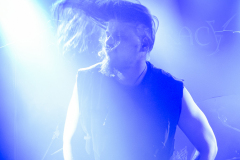 Vermocracy_watermarked-3