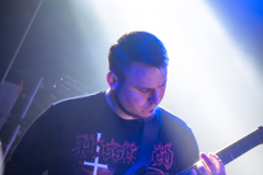 Vermocracy_watermarked-4