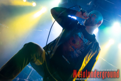 Zerleger_watermarked-3