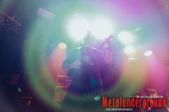 Zerleger_watermarked-7