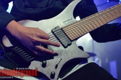 01-DeyingDecay_04_Watermarked