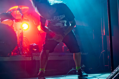 01_Rat-King-Gone-25-w