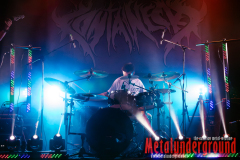 05_Containecks_watermarked-9