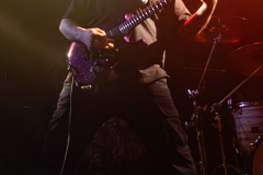 01_Life_Cycles_watermarked-10