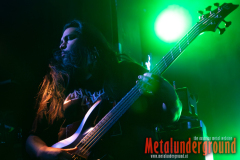 01_Life_Cycles_watermarked-4