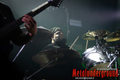 01_Life_Cycles_watermarked-5