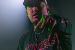 01_Life_Cycles_watermarked-6