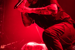 02_Distant_watermarked-2