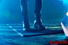03-The-Halo-Effect_04_Watermarked