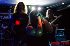 03-Vermocracy_01_Watermarked