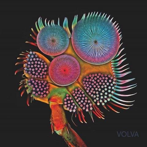 Echolot-Volva-album-artwork
