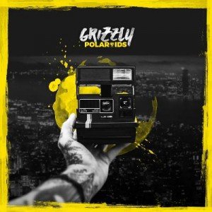 grizzly-polaroids-album-artwork