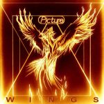 Picture – Wings