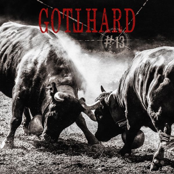 Gotthard - 13 album cover