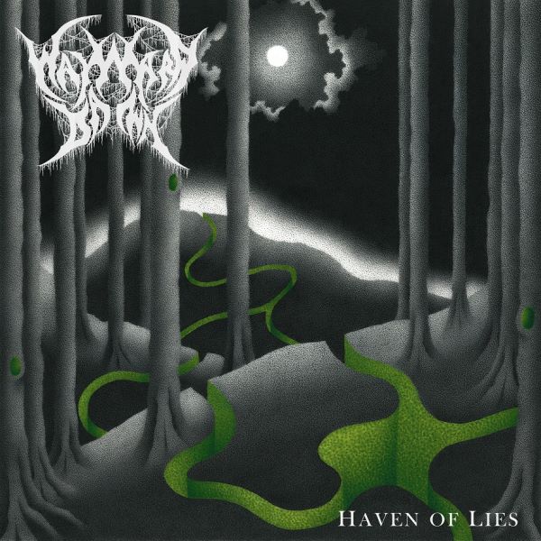 Wayward Dawn - Haven of Lies album cover