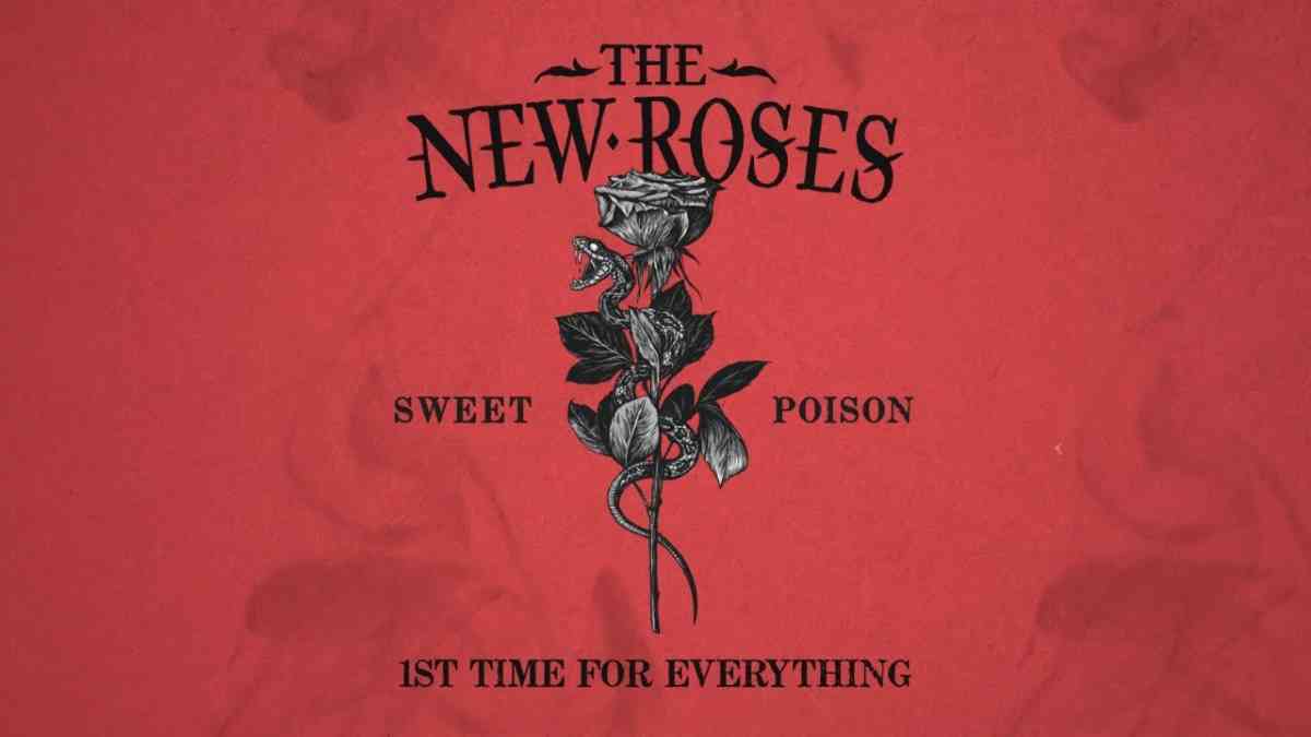 the new roses - 1st Time For Everything - lyric video clip