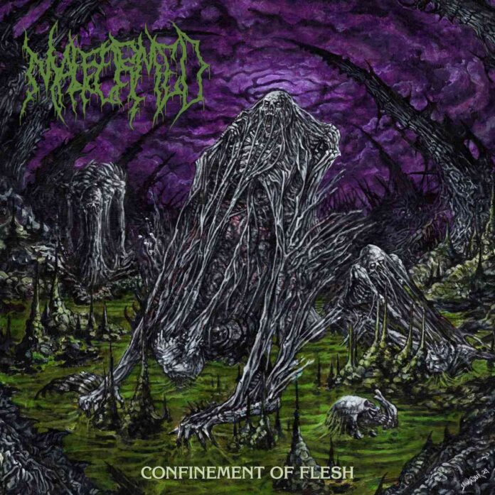 cover artwork Malformed Confinement of Flesh
