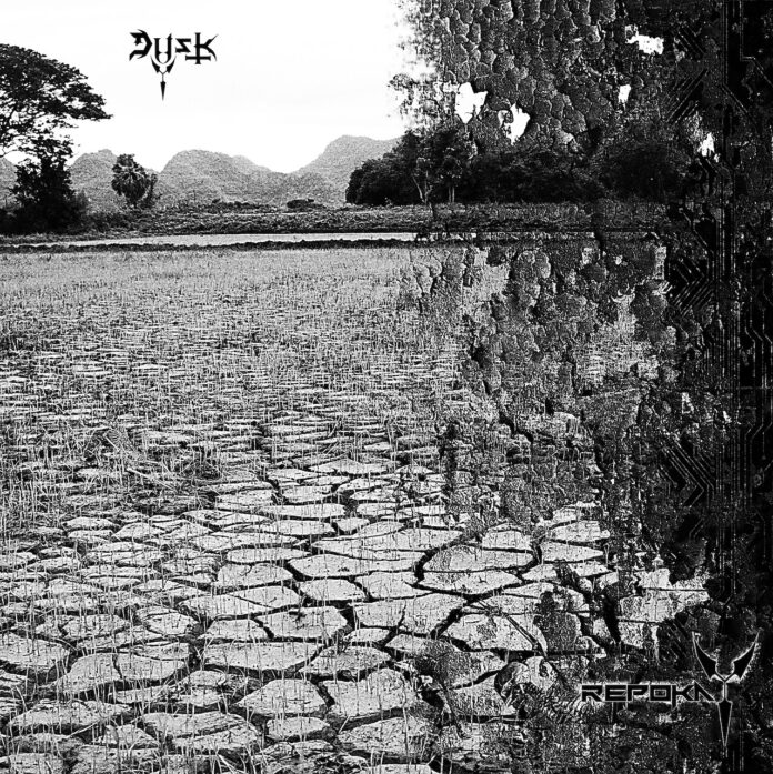 cover artwork DUSK Repoka