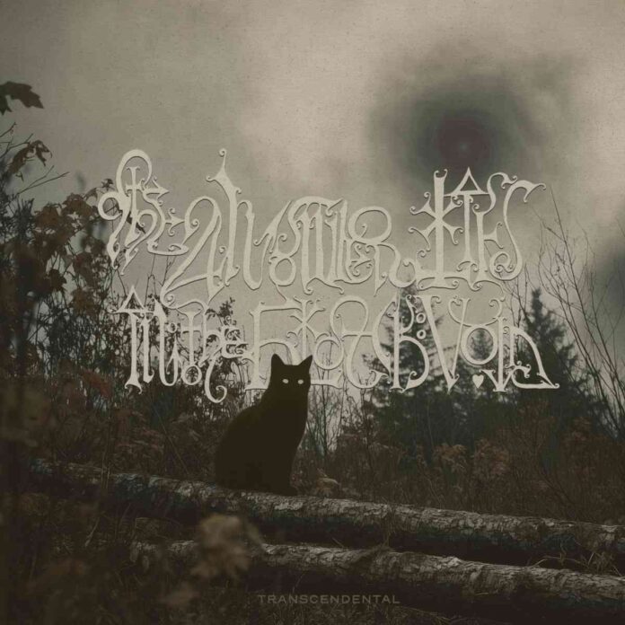 THE ANSWER LIES IN THE BLACK VOID Transcendental album cover