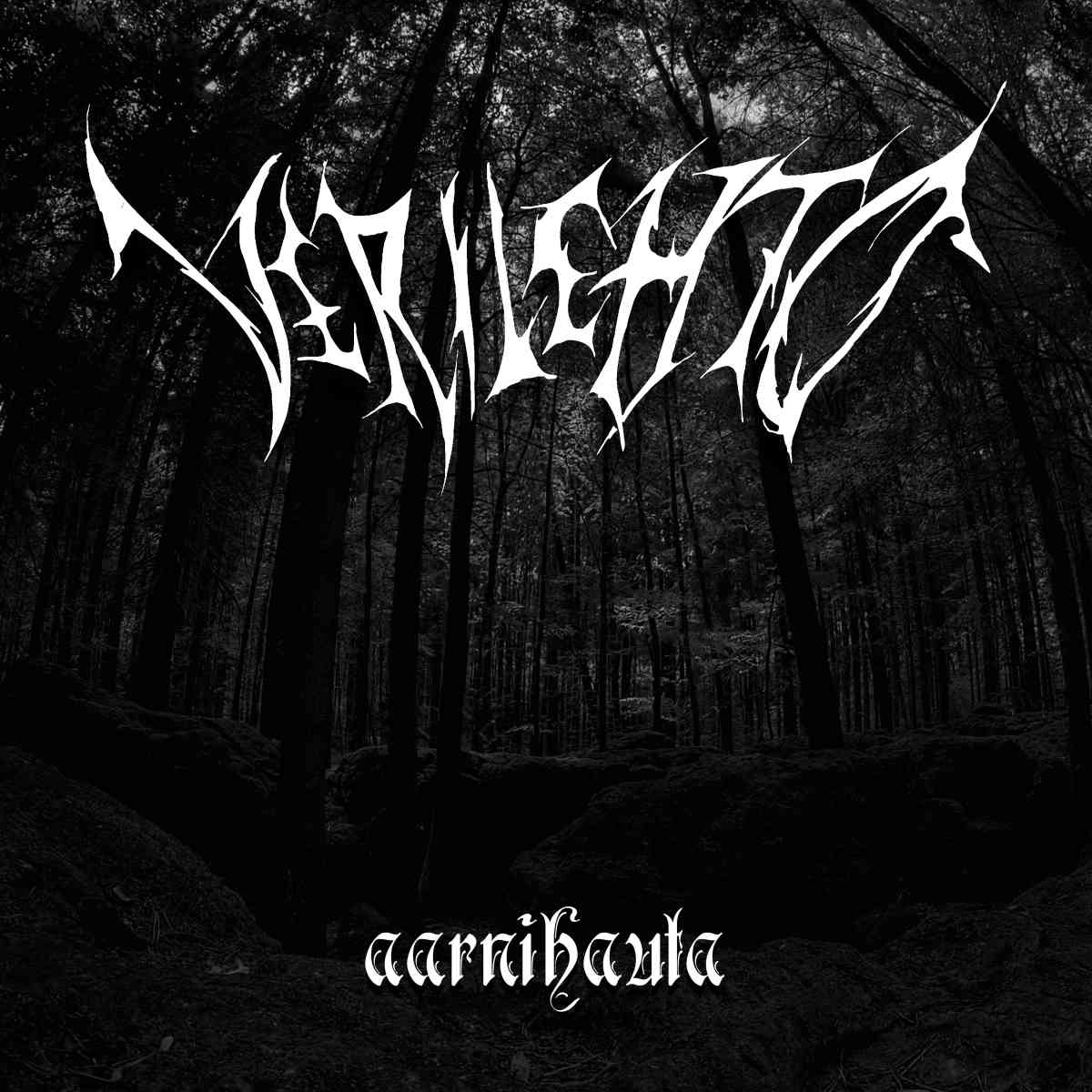 verilehto aarnihauta single cover