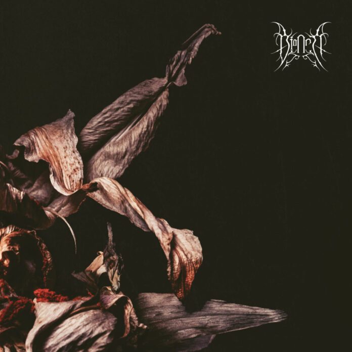 BIANCA Bianca cover artwork BIANCA Bianca