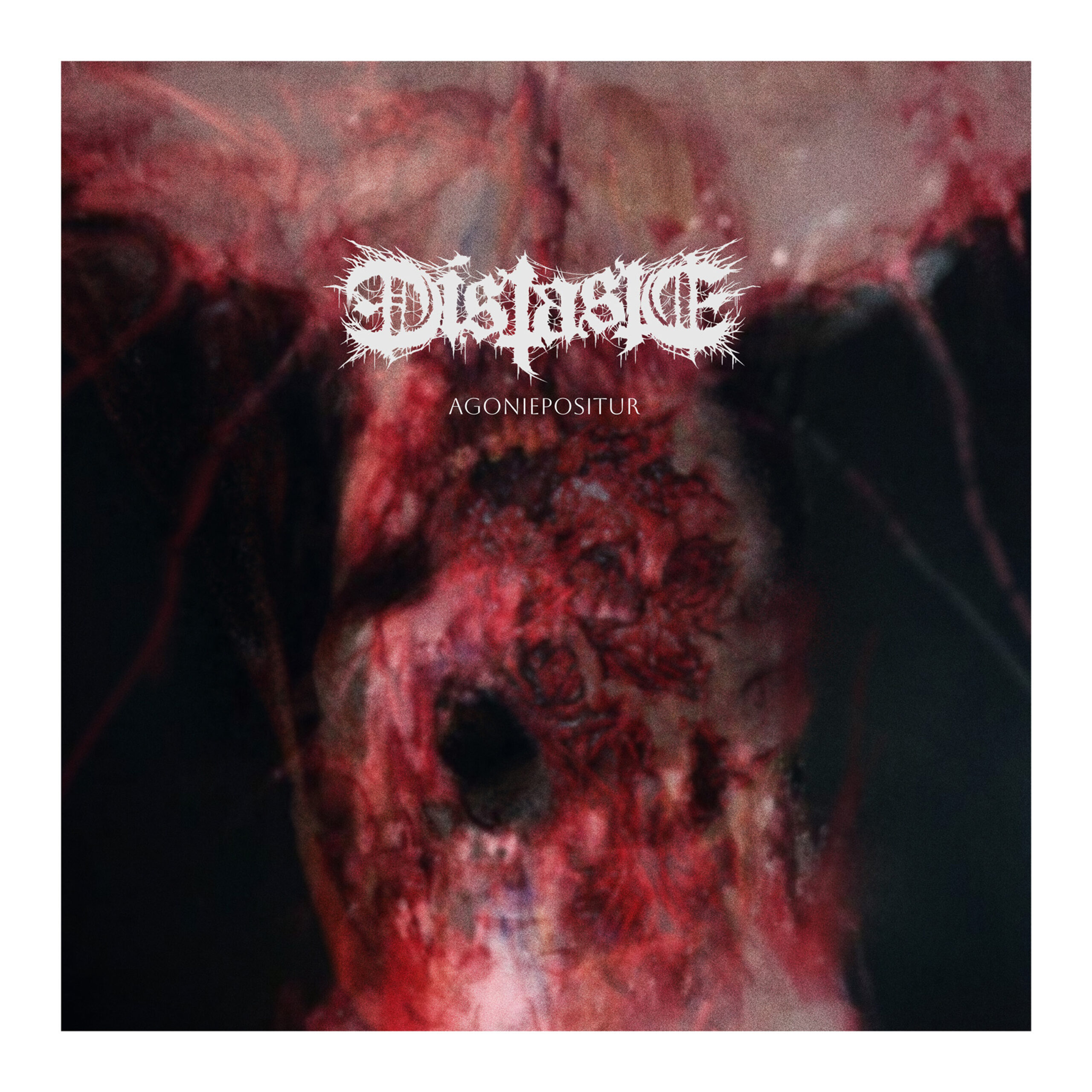 DISTASTE Agoniepositur cover artwork DISTASTE Agoniepositur