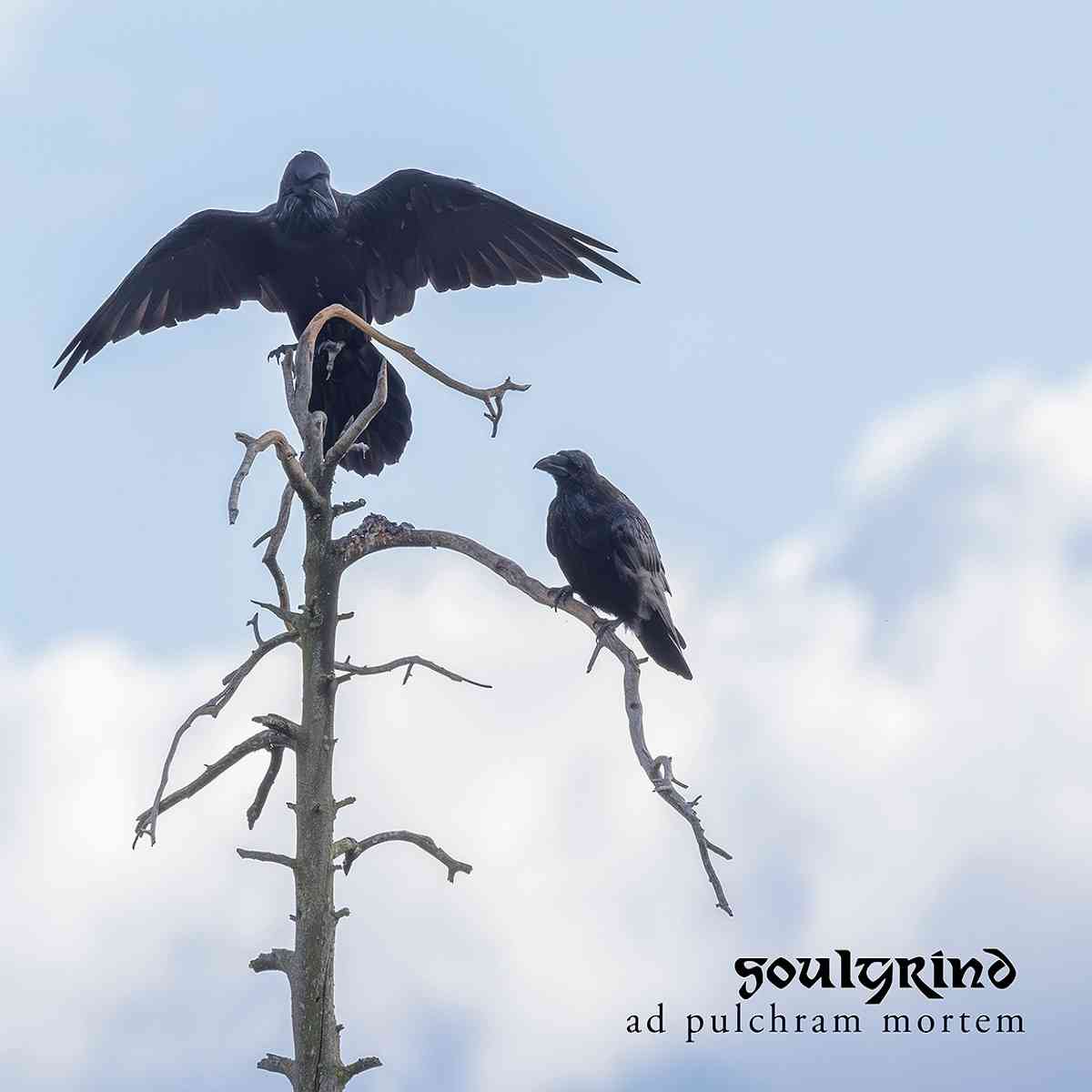soulgrind - ad pulchram mortem - artwork soulgrind - ad pulchram mortem - album cover