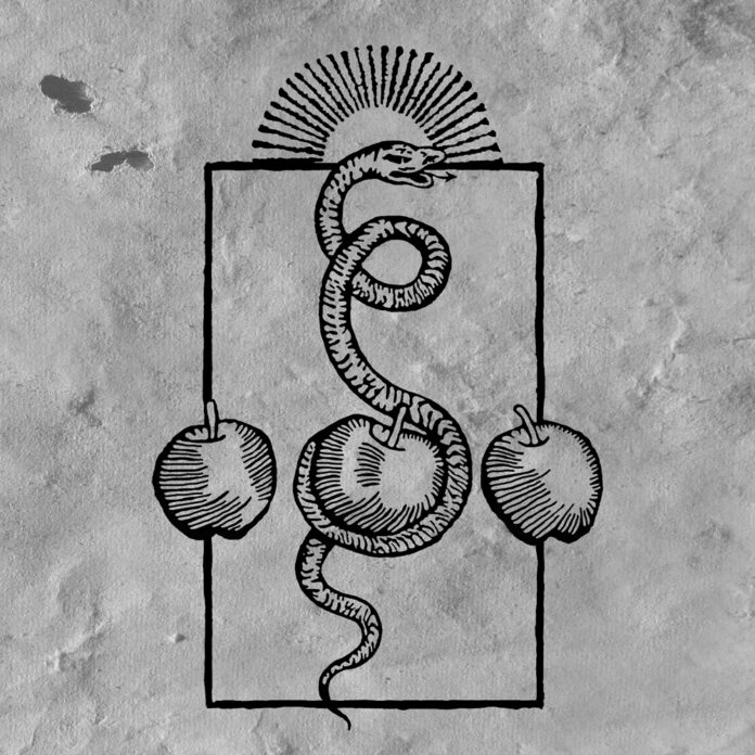 cover artwork DARVAZA We are Him