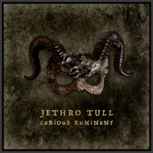 jethro tull - curious ruminant - artwork