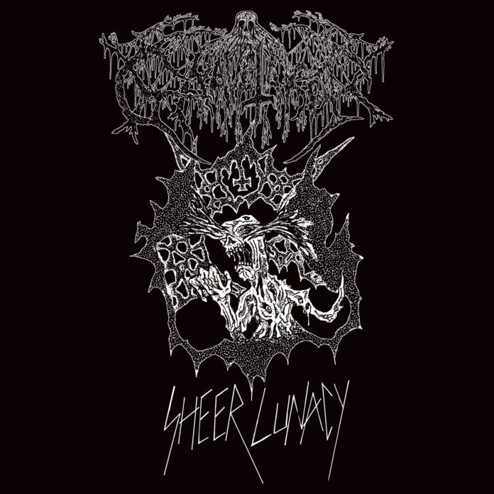 cover artwork GRAVETAKER Sheer Lunacy