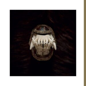 cover artwork AMENRA De Toorn