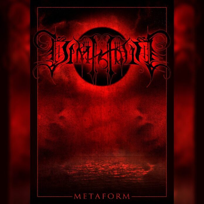 cover artwork DIMHOLT MetaForm