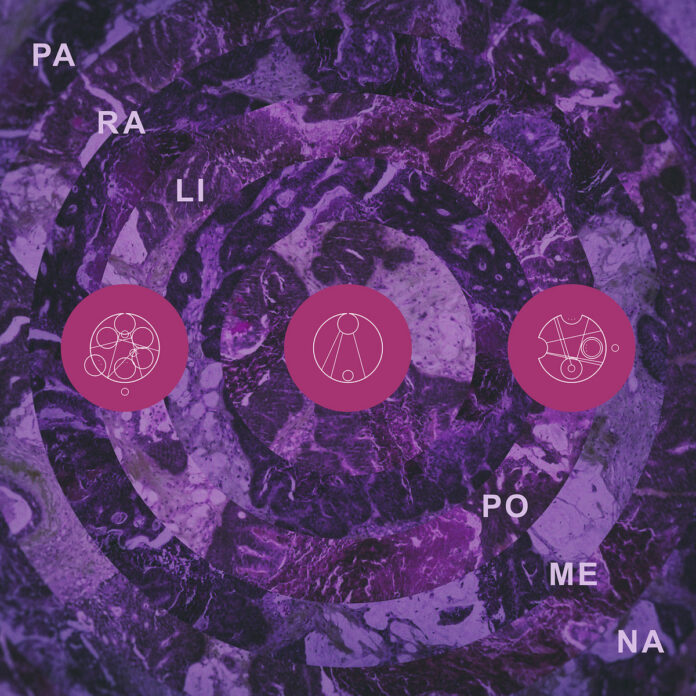 cover artwork PILLARS OF CACOPHONY Paralipomena