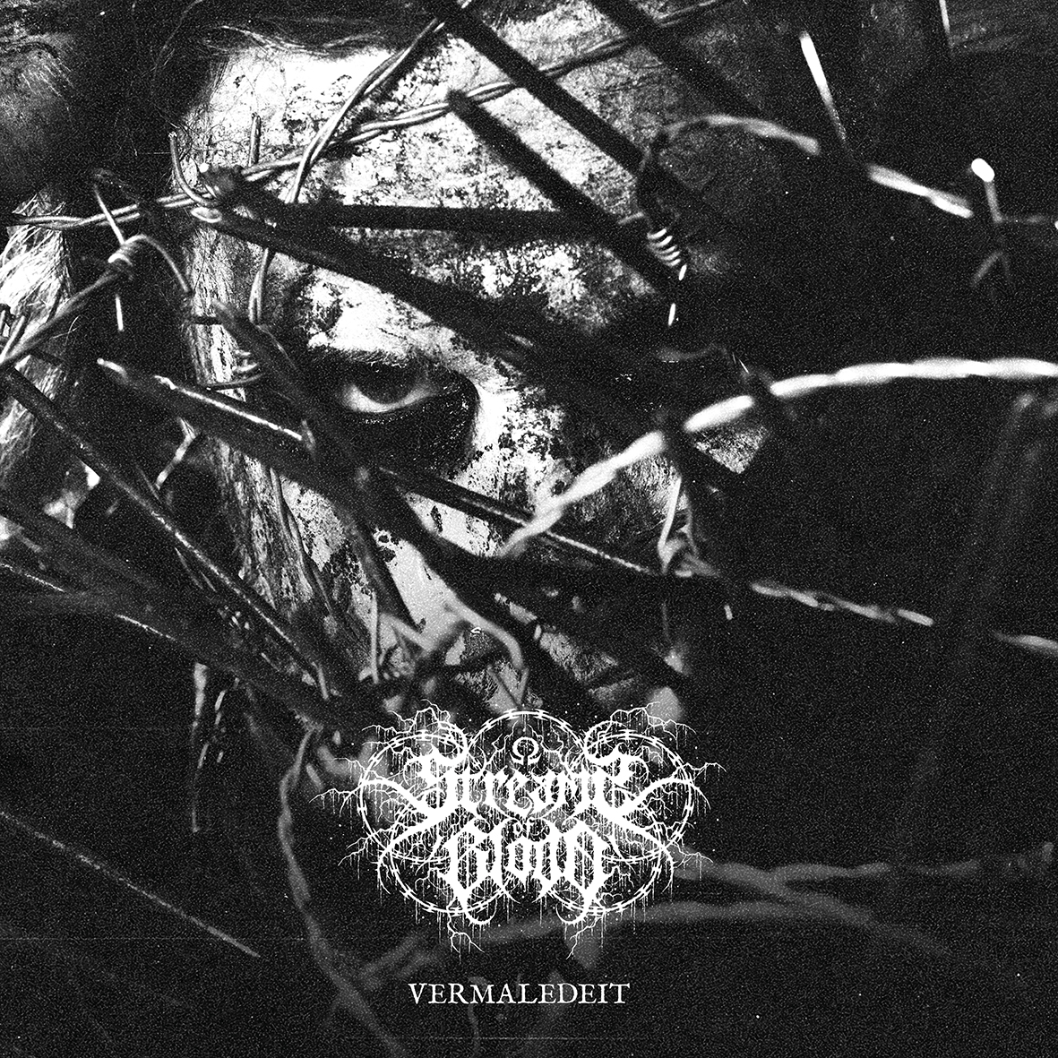 STREAMS OF BLOOD Vermaledeit cover artwork STREAMS OF BLOOD Vermaledeit