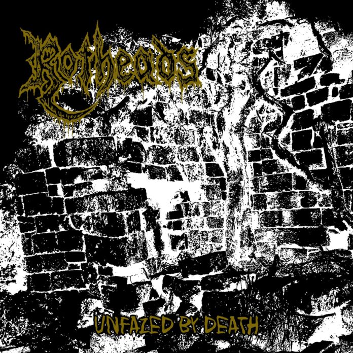 cover artwork ROTHEADS Unfazed by Death