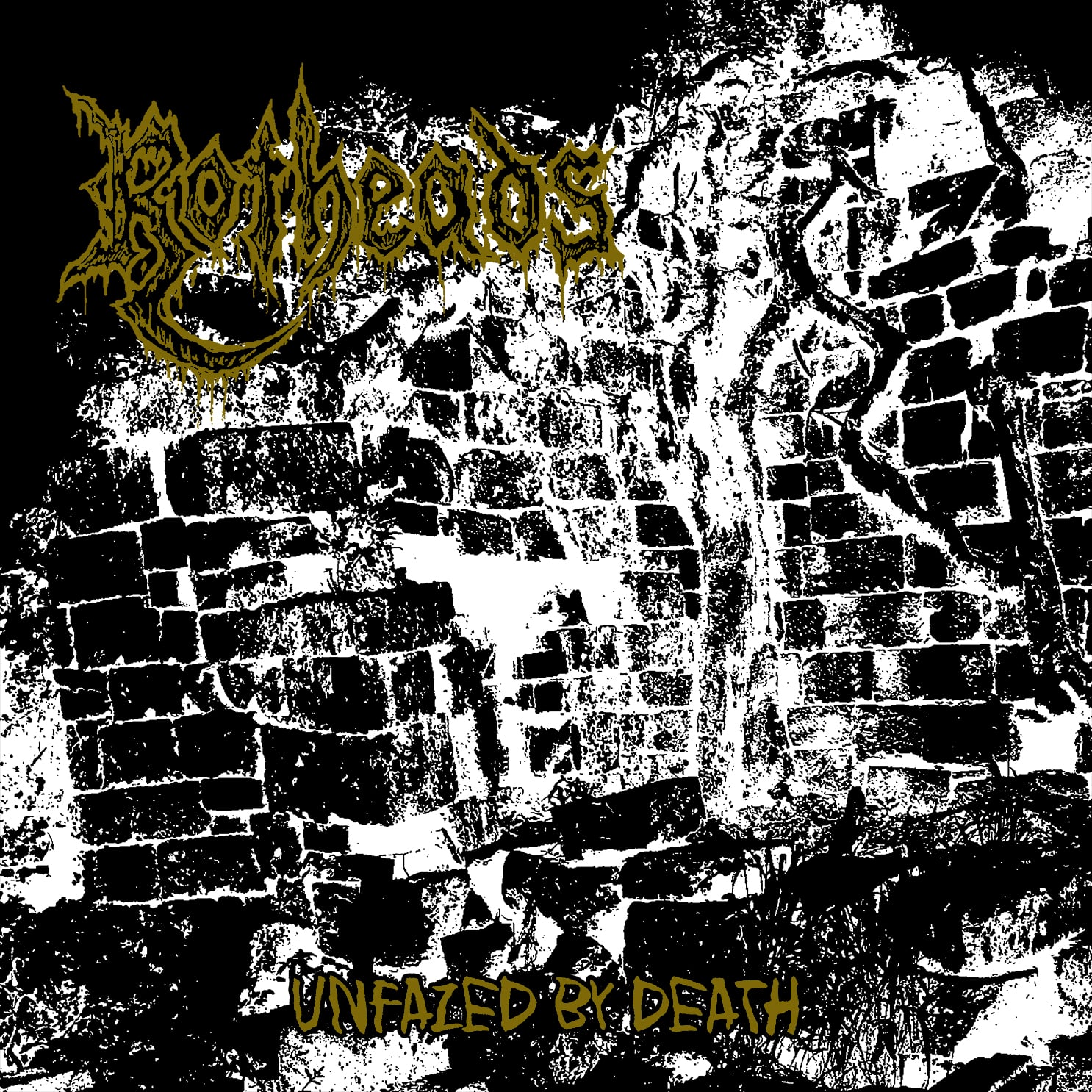 ROTHEADS Unfazed by Death 2026 cover artwork ROTHEADS Unfazed by Death