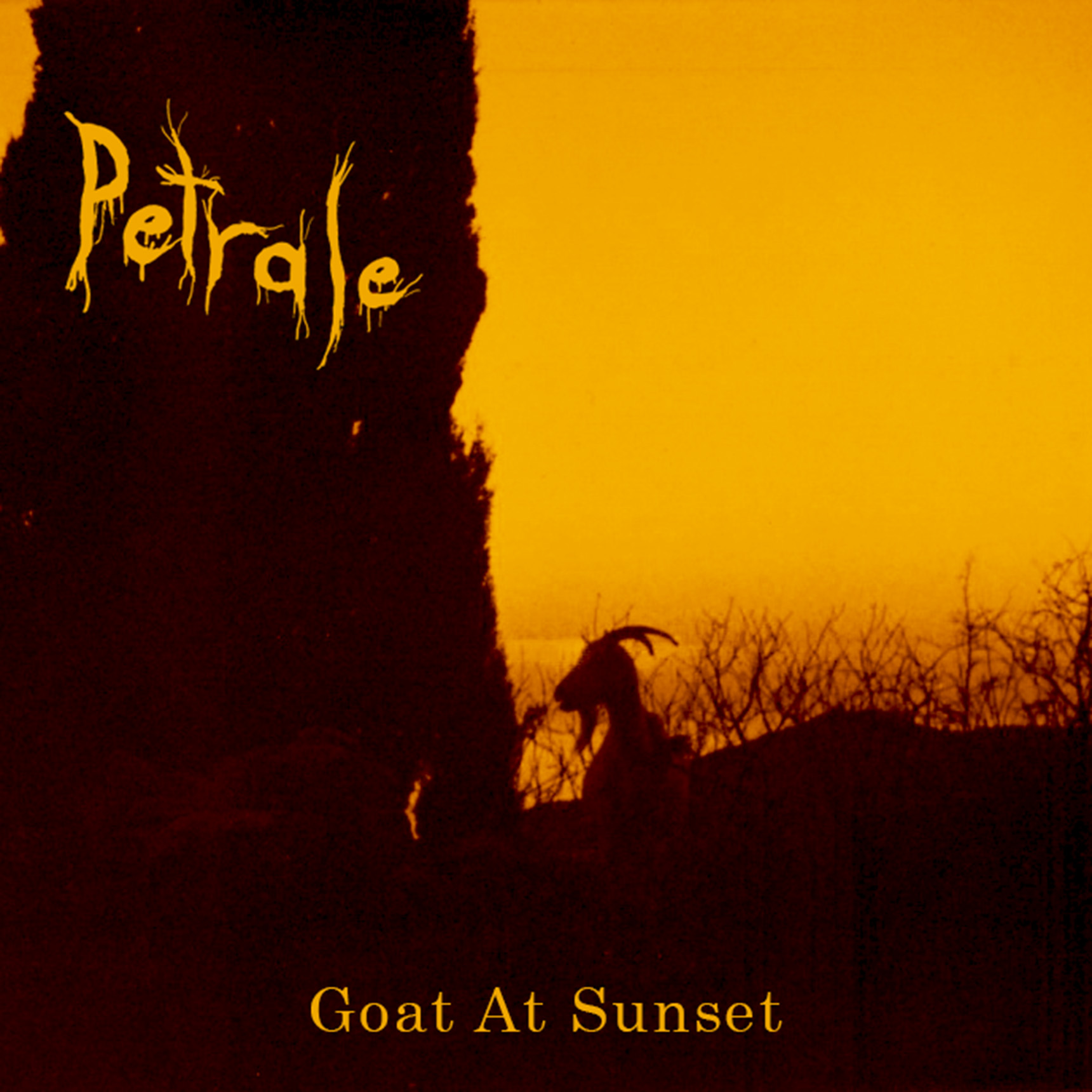 PETRALE Goat At Sunset cover artwork PETRALE Goat At Sunset