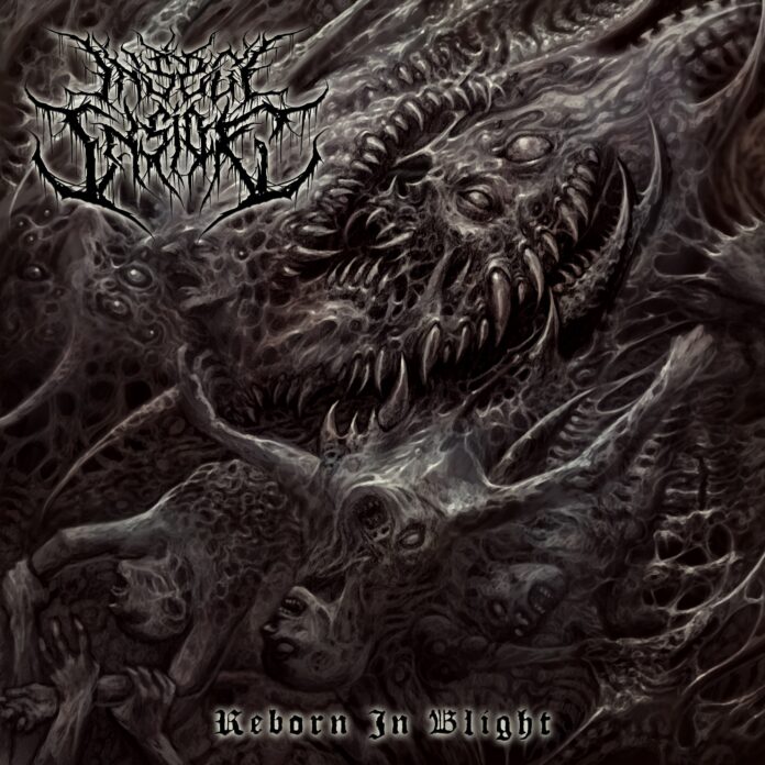 cover artwork INSECT INSIDE Reborn in Blight