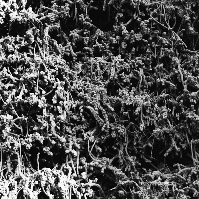 cover artwork NECROPOLISSEBEHT Taurunovem-Th’Astraktyan Serfdome