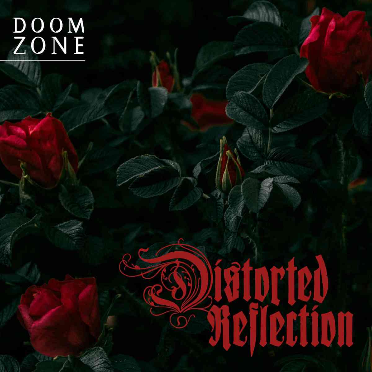 DISTORTED REFLECTION - Doom Zone - artwork DISTORTED REFLECTION - Doom Zone - album cover