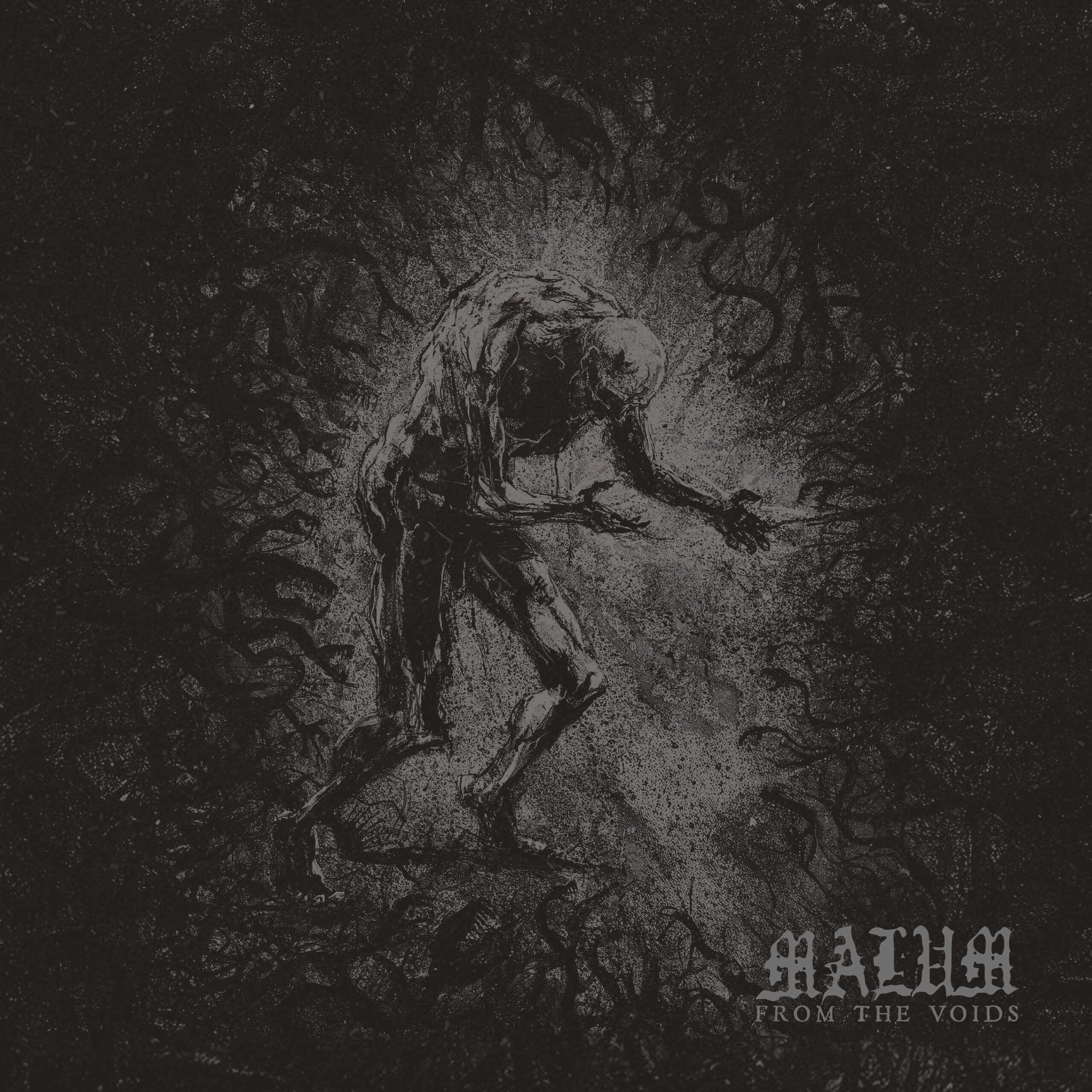 MALUM From the Voids cover artwork MALUM From the Voids
