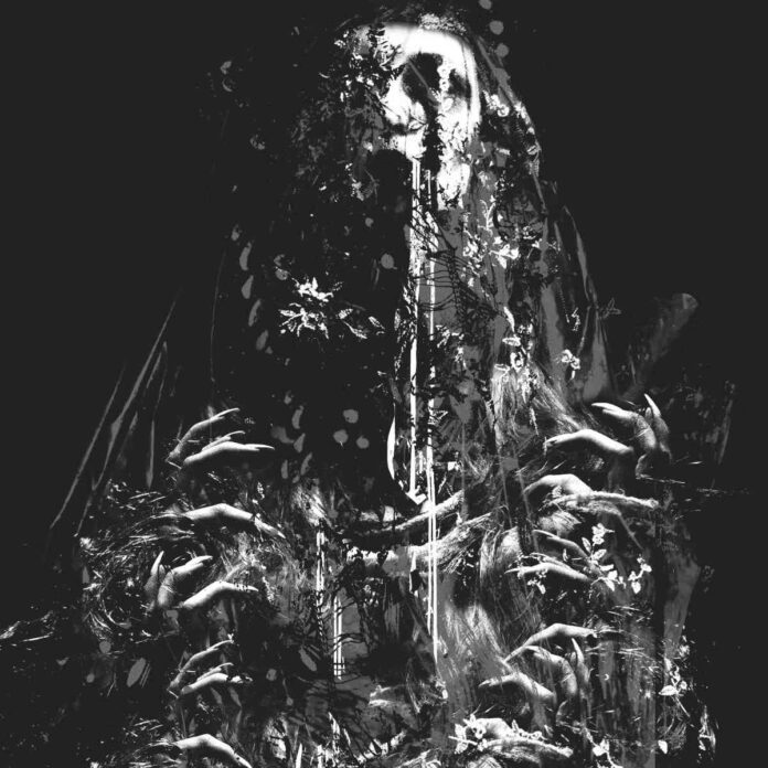 nomas - No Peace - album cover