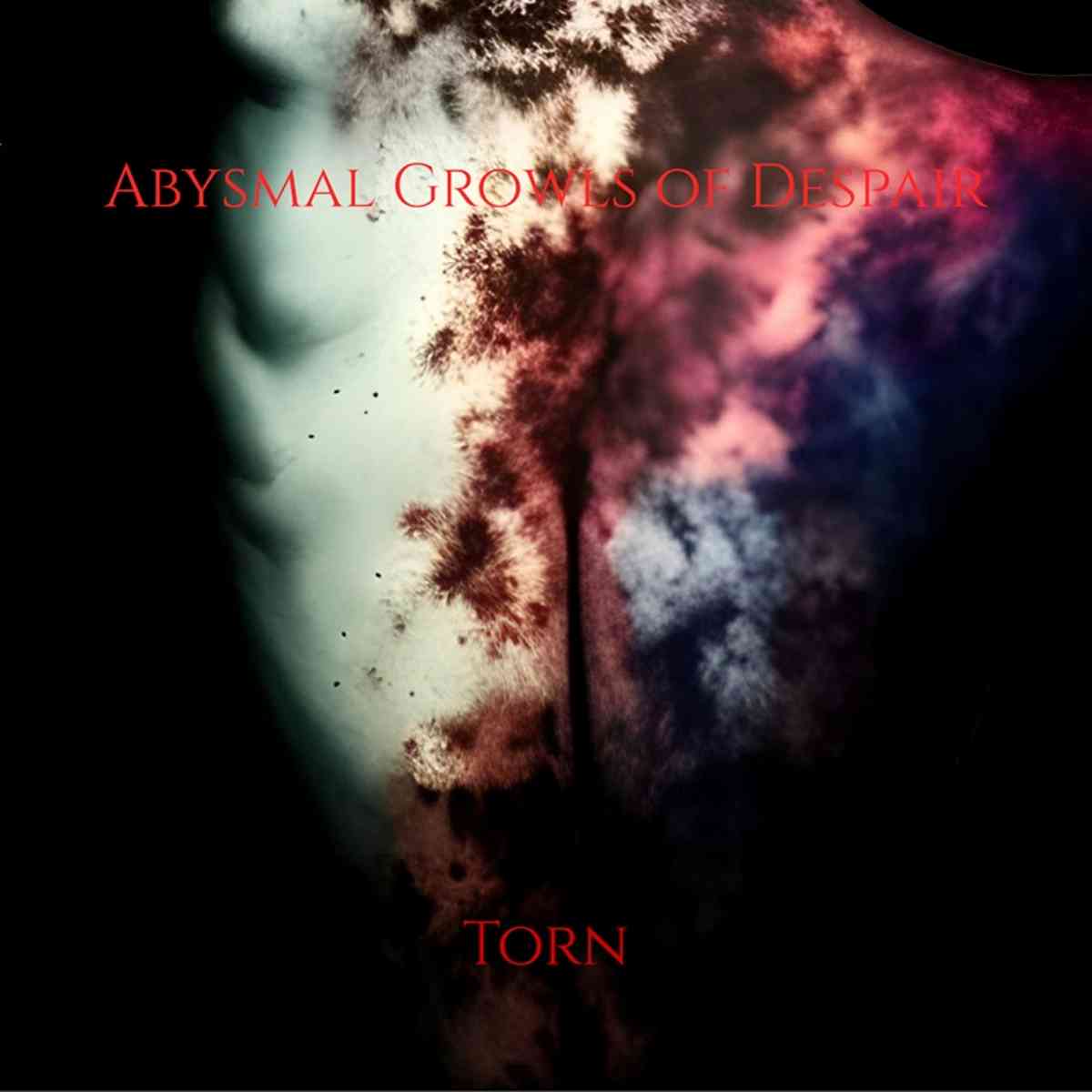 Abysmal Growls Of Despair - torn - artwork Abysmal Growls Of Despair - torn - cover artwork
