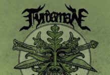 Fyrdsman – The Free Man Fyrdsman - The Free Man - cover artwork